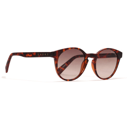 ÓCULOS DE SOL NEW EVK 20 BRG21 SHINE TURTLE
