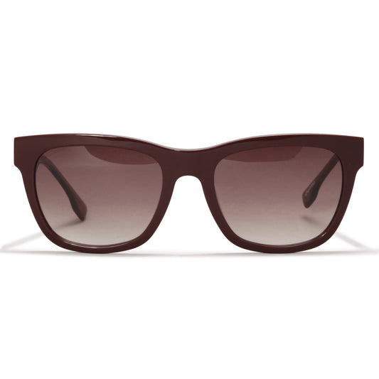 Gafas de Sol EVK 31 BRC01 Wine Gold Brown Gradient