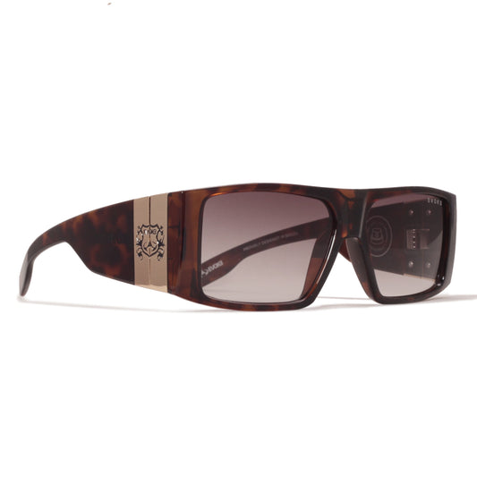 ÓCULOS DE SOL EVOKE NEW BOMBER BRG21B TURTLE GOLD BROWN GRADIENT