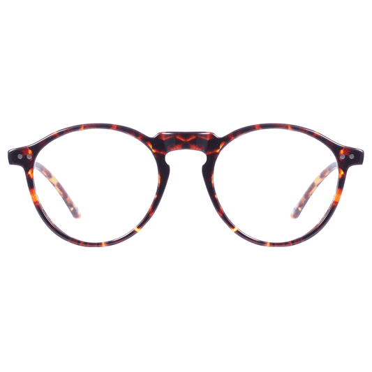 Óculos de Grau Evoke Round Clip On Turtle/ Brown Espelhado