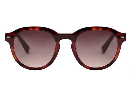 Óculos de Sol Evoke Native 2