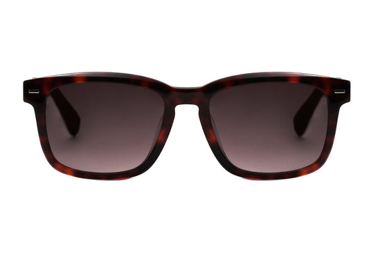 Óculos de Sol Evoke Native 3