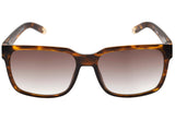 Óculos de Sol Evoke Capo VI D01 Turtle/ Brown Degradê