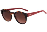 Óculos de Sol Evoke Evk 16