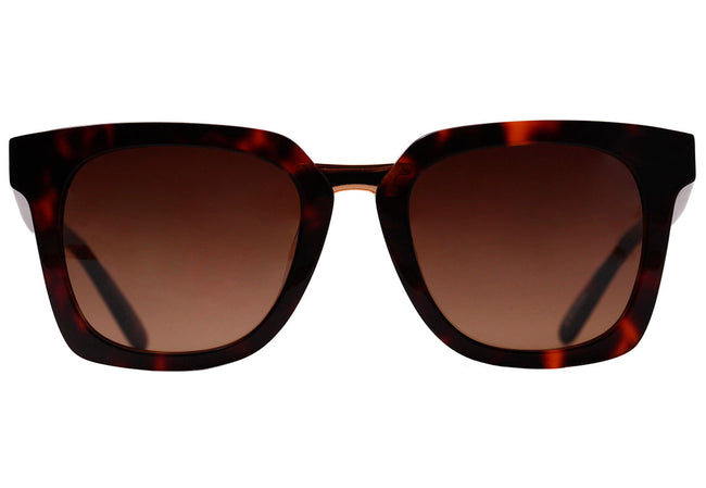 EVOKE FOR YOU DS5 - ÓCULOS DE SOL